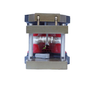 Modelo de Dientes Tipodonto para Entrenamiento de Ortodoncia Dental - Product Image 2