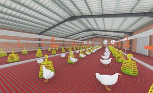 Structure métallique préfabriquée moderne Construction de poulailler pondeuse - Product Image 5