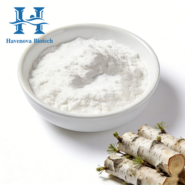 Wholesale Price Betulin 98% Birch Bark Extract Powder 473-98-3 for Nutritional Herbal Supplements Free Sample