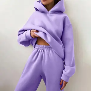 2022 Fashionable Solid Colors Casual Women Hooded Sports Set Fall Winter 2 Piece Sweatsuit Set Women