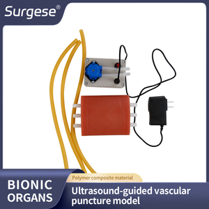 Modelo de Entrenamiento para Acceso <span class=keywords><strong>Vascular</strong></span> Guiado por Ultrasonido IG005-S1, 3 Vasos, Compatible con Bomba, Circulación, Fantoche Biónico para Punción <span class=keywords><strong>Vascular</strong></span> - Product Image 6