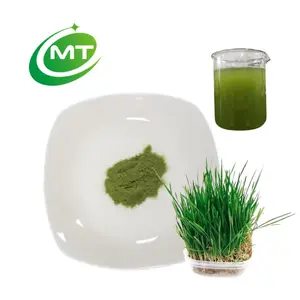 100% plante à base de plantes de haute qualité échantillon gratuit complément alimentaire bio poudre d'herbe d'orge avec une bonne soluble dans l'eau