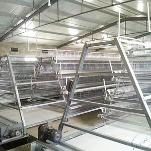 Abd'de tavuk kümesi için düşük fiyat galvanizli tel örgü a tipi büyük katmanlı tavuk kafesleri - Product Image 3