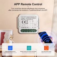 Relais de contact sec WiFi avec prise en charge DC 12V 24V pour la domotique des chaudières et des portes de garage, module d'interrupteur intelligent