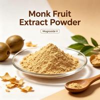 Monk Fruit Extract Poeder Mogroside V 25% 50% Natuurlijke Zoetstof Calorievrij Keto Suikervervanger Groothandel
