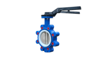Vanne papillon manuelle à vis sans fin avec siège en PTFE ANSI 150LB, disque en acier inoxydable 304, DN50-600, pour applications industrielles générales et aquatiques