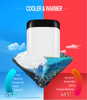 Mini réfrigérateur Portable thermoélectrique, glacière et chauffe-eau