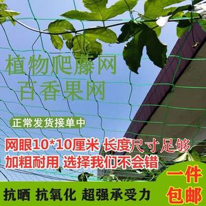 Filet d'escalade pour l'élevage de volailles et la course de poulet Filet de jardin avec protection contre les oiseaux - Product Image 3