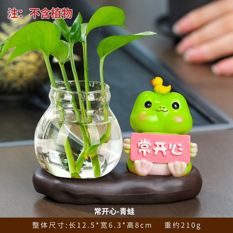 Hidroponía de cerámica Happy Frog