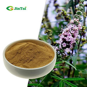 卸売食品グレードのイチョウ果実エキス（ヴィテックス・トリフォリア、イチョウの実）フラボノイド5%含有 - Product Image 1