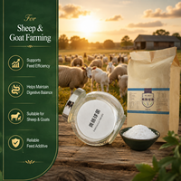Poudre d'Enterococcus Faecalis 10 milliards UFC/g Probiotique Qualité Alimentaire Acides Aminés Additif Alimentaire pour Animaux pour la Santé Intestinale OEM Vrac