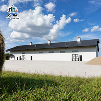 Bâtiment Agricole Moderne à Grande Portée en Structure Acier, Hangar Agricole, Entrepôt de Stockage, Solution d'Entrepôt Préfabriqué, Atelier