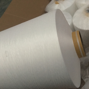 Nylon 6 nguyên Trắng DTY-SD 20D/7F/1 S + Z Nim AA lớp PA 6 Nylon Filament sợi - Product Image 1