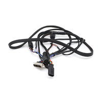 Arnés de Cables de Diagnóstico para ECU Automotriz con Conector DB25 D-Sub Hirschmann CAE para Sistema de Control de Programación de Vehículos