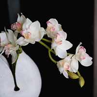 Élégante orchidée Cymbidium artificielle blanche, tige en soie au toucher réel, pour la décoration florale de la maison, des vases, des mariages et des arrangements de table.
