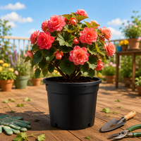Pots de fleurs en plastique PP noir de 1 à 25 gallons pour pépinières, fabriqués par des usines OEM/ODM, durables, légers, avec trou de drainage pour jardin intérieur/extérieur