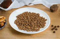 Nourriture pour animaux de compagnie de qualité supérieure, viande réelle pour chiens, haute teneur en protéines, friandises molles pour chiens