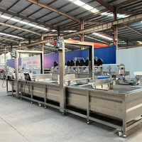 Longmen Lifting-type belletjesreinigingsmachine - Volledig automatische reinigingsapparatuur voor fruit, groenten en zeevruchten