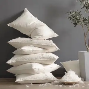 Hot Sale 5 Star Hotel Washed White Duck Or Goose Feather Cushion Pillow Insert 50X50 Bed Pillow