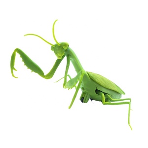 Alta simulación RC <span class=keywords><strong>Mantis</strong></span> 6661 divertido eléctrico infrarrojo Control remoto realista <span class=keywords><strong>Mantis</strong></span> Animal juguete para regalos de Halloween - Product Image 1