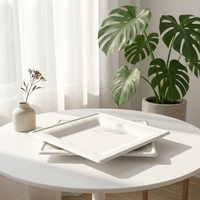 Assiettes jetables rondes blanches en bagasse de canne à sucre, minimalistes, écologiques, pour la rentrée scolaire