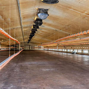 Kanatlı çiftlik iç<span class=keywords><strong>in</strong></span> otomatik katman tavuk kafesi ev, sıcak daldırma galvanizli, özel boyut mevcut, hızlı kargo - Product Image 6