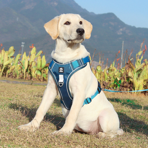 Lüks köpek koşum yok çekme nefes ayarlanabilir evcil hayvan yeleği seks köpek Pet koşum açık yürüyüş eğitim yaka tasması köpek - Product Image 5