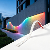 Projecteur mural linéaire RVB, rouleau de 5 m, IP67, contrôle DMX512, éclairage mural flexible néon pour tunnel, jardin et signalétique
