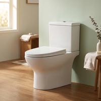 Ensemble de toilette moderne de haute qualité, articles sanitaires salle de bain deux pièces cuvette de toilette placard à eau Wc