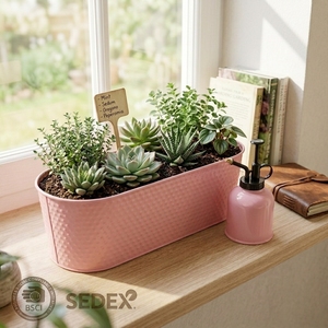 Jardinière ovale vintage en acier <span class=keywords><strong>pour</strong></span> <span class=keywords><strong>plantes</strong></span> succulentes et herbes, pot de jardin intérieur/extérieur, <span class=keywords><strong>pour</strong></span> rebord de fenêtre et balcon, décoratif, thermolaqué - Product Image 1