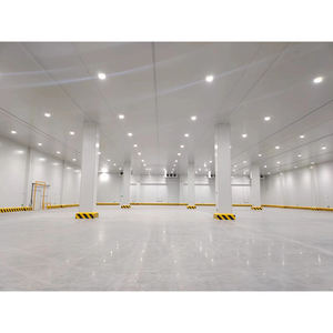 Grote Koude Opslag Project Bouw Hoge Kwaliteit Bevroren Koude Opslag/Koude Ruimte Voor Vlees En Vis - Product Image 5