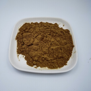 Té Natural de <span class=keywords><strong>Paraguay</strong></span>, Extracto de Hoja de Yerba Mate en Polvo, Polvo de Té de Yerba Mate - Product Image 2