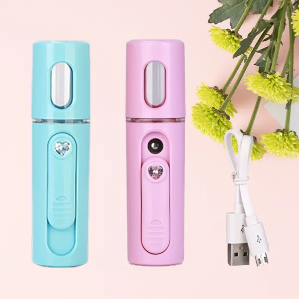 Portable Pratique brumisateur Rechargeable atomiseur Nébuliseur Humidificateur À Vapeur