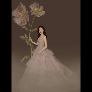 Tulle Wedding Dress Empire Waist Sweetheart Neckline Ball Gown Vintage Style Portrait Photography Attire - Product Image 2