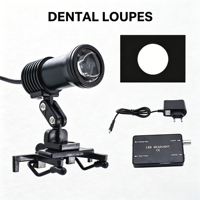 Dental LED Headlamp Surgical Magnifier Battery Portable Focus 5W European Gauge Class II Yellow White Light