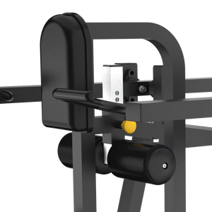 Multi-Function Station Seated <strong>Dip</strong> <strong>Machine</strong> - Product Image 4