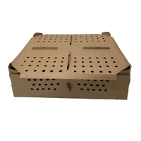Design personnalisé Plus Carton 100pcs Boîte à oiseaux poussins vivants Boîte d'expédition Pigeon oiseaux vivants