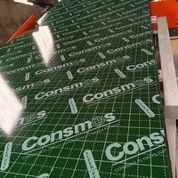 Panneau de contreplaqué de coffrage PP 12-21 mm 18 mm, feuille plastifiée verte pour coffrage en béton