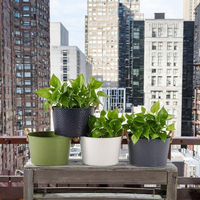 Nouveau design 2025 – Pots suspendus en métal peint en poudre multicolores, faits à la main, style moderne, écologiques, en fer, pour la décoration intérieure et extérieure