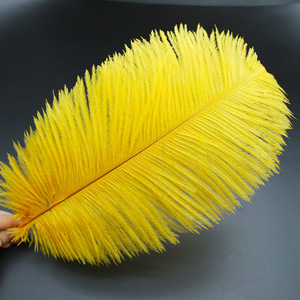 Penne nere di struzzo alla rinfusa-Bulu <span class=keywords><strong>Merak</strong></span> per il carnevale di Samba - Product Image 6