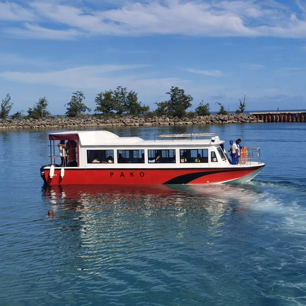 Водное такси HA1250
