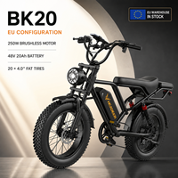 Vélo électrique à pneus larges BK20, 250W, 48V, batterie au lithium 20Ah, vélo de montagne tout-terrain