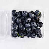 Contenitore in Plastica PET da 125g 150g per Imballaggio Frutta, Scatola Blister per Bacche Fresche, Fragole, Mirtilli con Fori