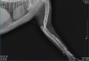 ระบบเอ็กซเรย์แขนตัวซีแบบสัตวแพทย์หน้าจอสัมผัสติดตั้งถาวร32kW สำหรับเครื่องแนะแนวการผ่าตัด - Product Image 3