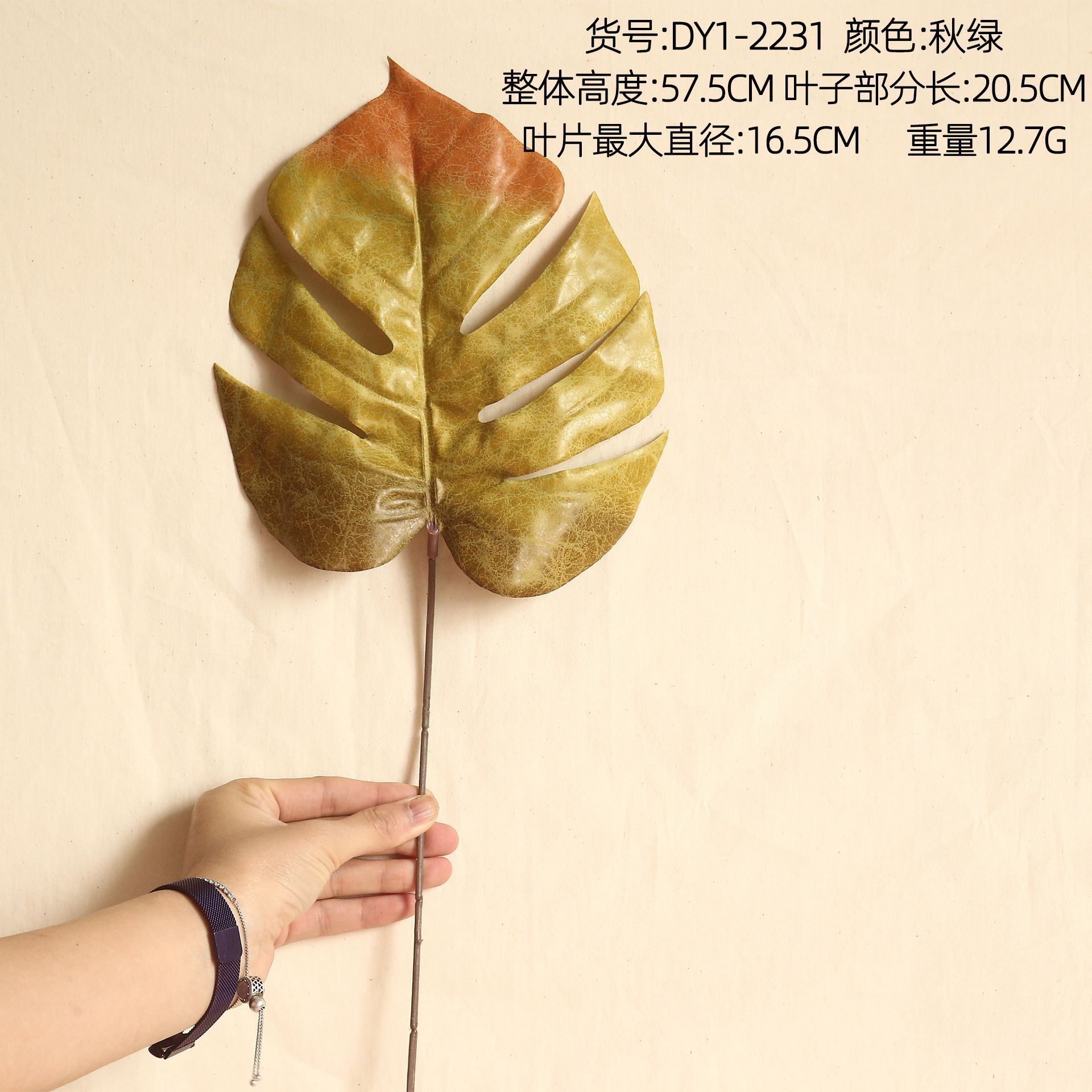 DY1-2231 Vert d'automne