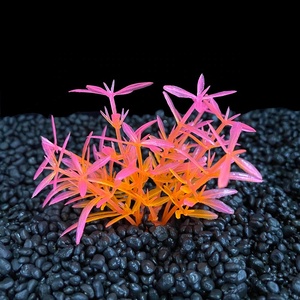 New Design <strong>Cheap</strong> Price <strong>Aquarium</strong> Ornaments Decoration Plastic Small Weeds <strong>Plants</strong> Colorful <strong>Plants</strong> for <strong>Aquarium</strong> - Product Image 2