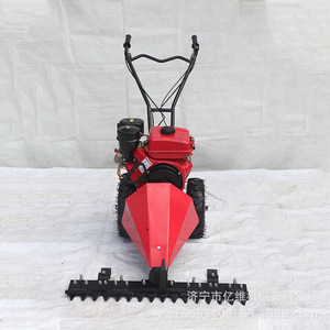 Tondeuse à gazon professionnelle autotractée à essence 4 temps, coupe à fléaux, éjection arrière, hauteur de coupe max. 100 mm - Product Image 1