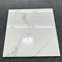 Carreaux de sol en marbre blanc de conception moderne 60x60cm Antibactérien Résistant à l'usure Porcelaine brillante