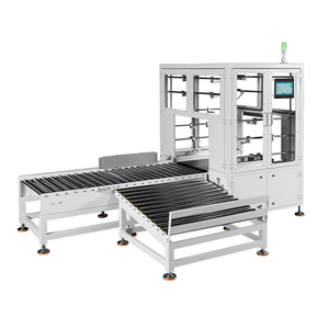 BIBO - Controladora de peso automática con cilindro sin varillas para inspección de peso de disyuntores en caja - Product Image 1