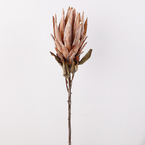 Exquisita Protea de Primera Calidad para Decoraciones de Eventos de Lujo, Perfecta para Decoraciones de Bodas Impresionantes y Decoraciones de Fiestas Memorables - Product Image 3